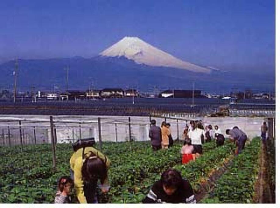 ゲストハウス+カフェわ　１日１組限定！ 築１００年の農家の古民家で宿泊体験、薪でお風呂沸かせます。焚き火もできます。 Kannami ภายนอก รูปภาพ